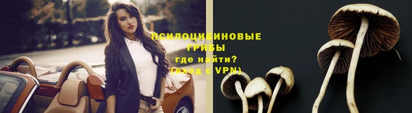 МДМА Елизово