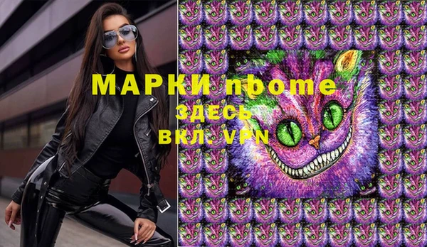 молекула духа Грязовец