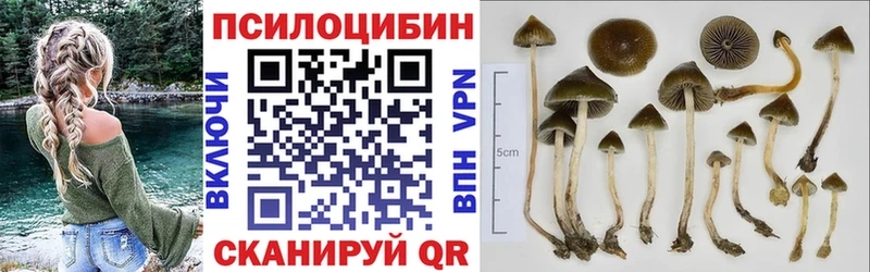 KRAKEN зеркало  где купить   Заозёрный  Галлюциногенные грибы GOLDEN TEACHER 